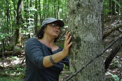 April Stone, above, inspecting a black ash tree