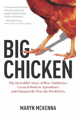 "Big Chicken" book cover