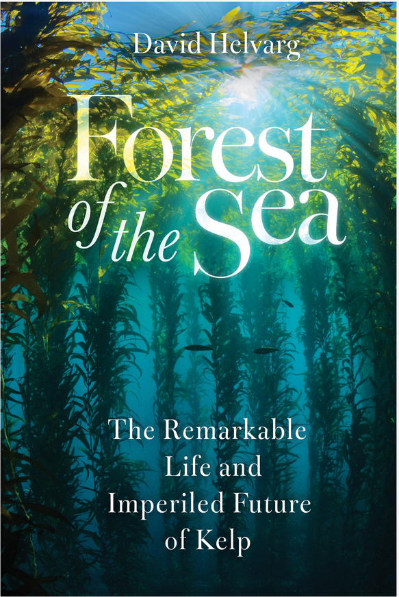 Forest of the Sea: The Remarkable Life and Imperiled Future of Kelp