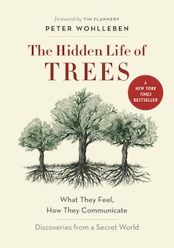 "The Hidden Life of Trees"
