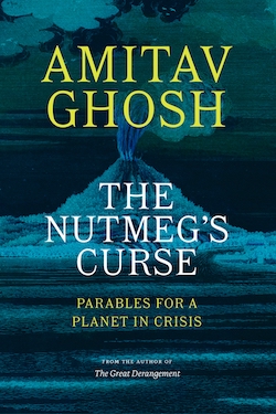 Nutmeg's Curse book cover