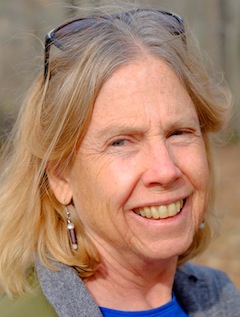 Author Ann Hoffner
