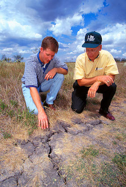 soil cracks caused by severe drought