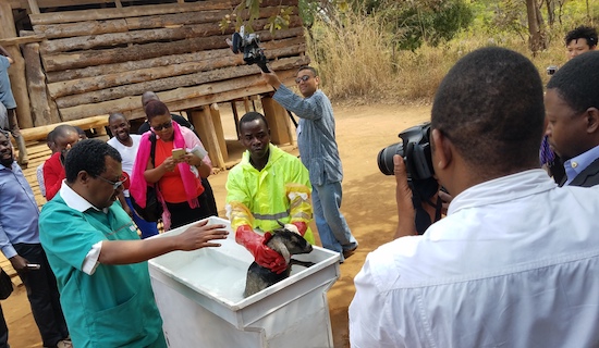 Veterinarian Melaku Tefera of Lilongwe University of Agriculture and Natural Resources explains to Malawi Journalists a new lightweight tank that can be taken to villages to treat goats for parasites.