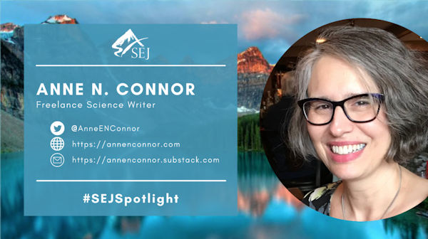 #SEJSpotlight graphic for Anne N. Connor