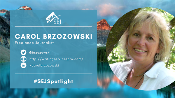 #SEJSpotlight graphic for Carol Brzozowski