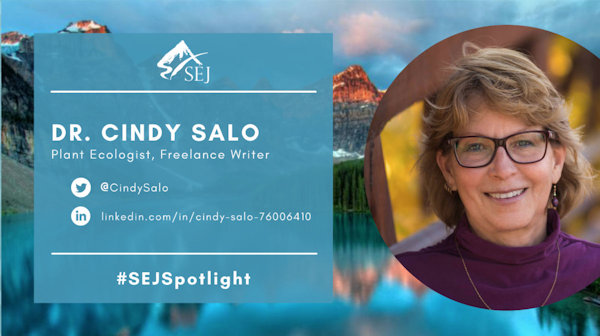 #SEJSpotlight graphic for Dr. Cindy Salo