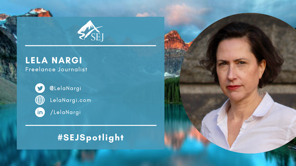 #SEJSpotlight graphic for Lela Nargi