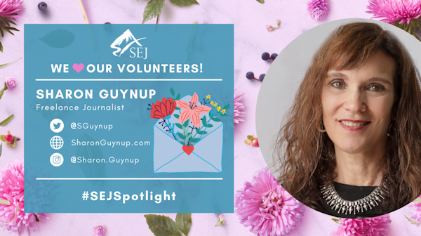 #SEJSpotlight graphic for Sharon Guynup
