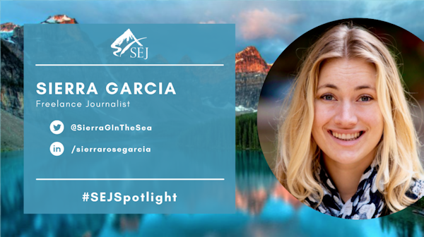 #SEJSpotlight graphic for Sierra Garcia