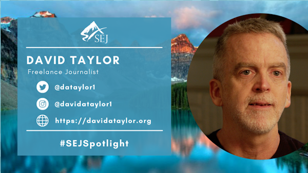 #SEJSpotlight graphic for David Taylor