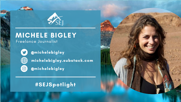 #SEJSpotlight graphic for Michele Bigley