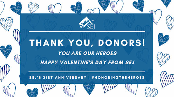 Thank you donors graphic
