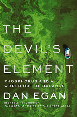 The Devil’s Element book cover