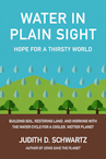 Cover of Water in Plain Sight: Hope for a Thirsty World